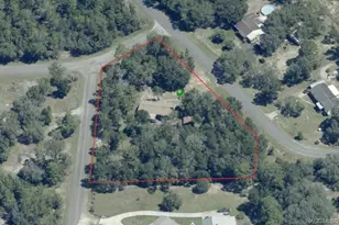 4830 N Western Dr, Hernando, FL 34442 - Photo 34