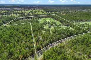 11670 SE 6th St, Williston, FL 32696 - Photo 66