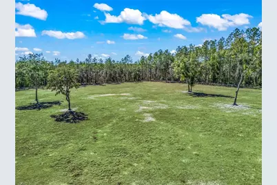 11670 SE 6th Street, Williston, FL 32696 - Photo 72