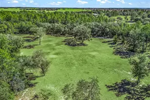 11670 SE 6th St, Williston, FL 32696 - Photo 74