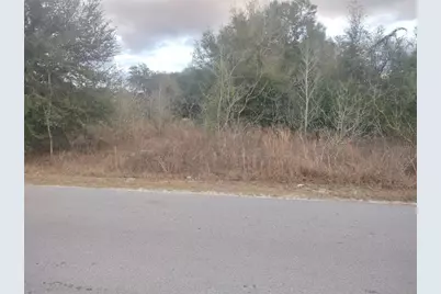 0 NW 55th Avenue, Ocala, FL 34482 - Photo 1