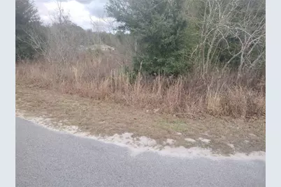 0 NW 55th Avenue, Ocala, FL 34482 - Photo 2