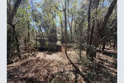 3910 E Scotty Street, Inverness, FL 34453 - Photo 2