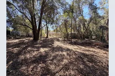 3910 E Scotty Street, Inverness, FL 34453 - Photo 4