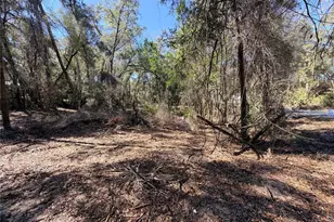 3910 E Scotty St, Inverness, FL 34453 - Photo 1