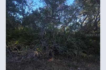 Malauka Pass Crse, Ocklawaha, FL 32179 - Photo 4