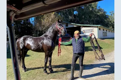 12020 N US Highway 441, Ocala, FL 34475 - Photo 32