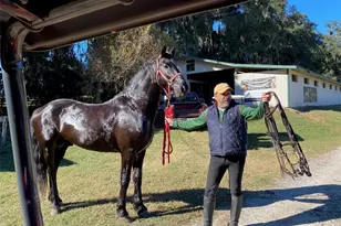 12020 N US Hwy 441, Ocala, FL 34475 - Photo 32