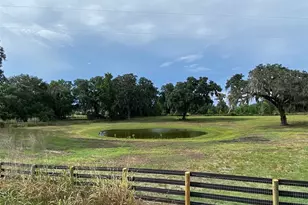 12020 N US Hwy 441, Ocala, FL 34475 - Photo 8