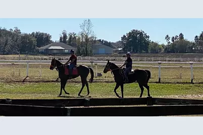 12020 N US Highway 441, Ocala, FL 34475 - Photo 18