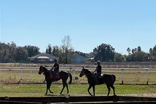 12020 N US Hwy 441, Ocala, FL 34475 - Photo 18