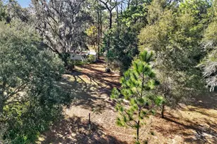 1741 N Crooked Branch Dr, Lecanto, FL 34461 - Photo 50