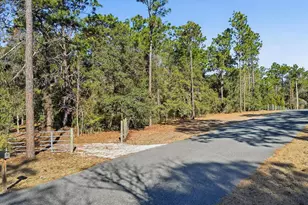 8780 S Deerstalker Terrace, Inverness, FL 34452 - Photo 34