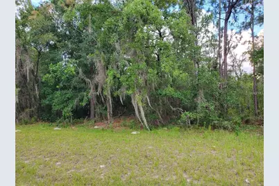8650 SW 138 Lane, Ocala, FL 34473 - Photo 2
