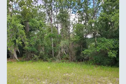 8650 SW 138 Lane, Ocala, FL 34473 - Photo 4