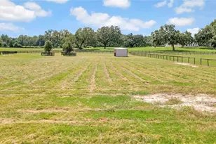 12000 S Hwy 475, Ocala, FL 34480 - Photo 46