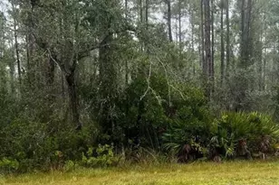 0 Gaillardia Dr, Indian Lake Estates, FL 33855 - Photo 1