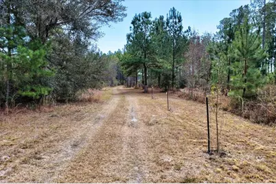 60 Acres NW Clyatt Road, Chiefland, FL 32626 - Photo 4