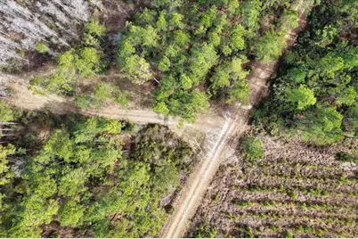 60 Acres NW Clyatt Road, Chiefland, FL 32626 - Photo 40