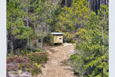 60 Acres NW Clyatt Road, Chiefland, FL 32626 - Photo 38