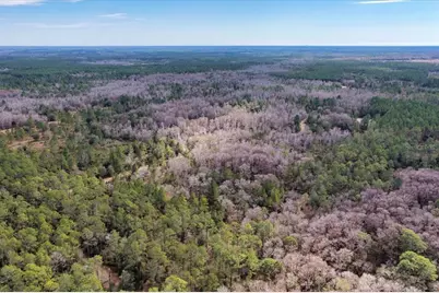 60 Acres NW Clyatt Road, Chiefland, FL 32626 - Photo 58