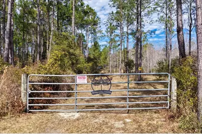 60 Acres NW Clyatt Road, Chiefland, FL 32626 - Photo 2
