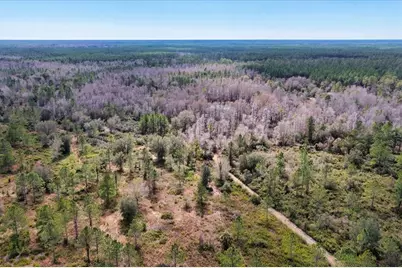 60 Acres NW Clyatt Road, Chiefland, FL 32626 - Photo 60