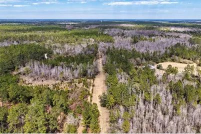 60 Acres NW Clyatt Road, Chiefland, FL 32626 - Photo 44