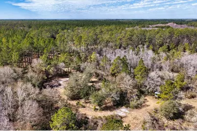 60 Acres NW Clyatt Road, Chiefland, FL 32626 - Photo 48