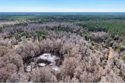 60 Acres NW Clyatt Road, Chiefland, FL 32626 - Photo 62