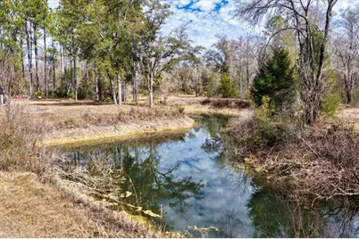 60 Acres NW Clyatt Road, Chiefland, FL 32626 - Photo 18