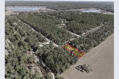 24456 SW Tiger Lake Boulevard W, Dunnellon, FL 34431 - Photo 10