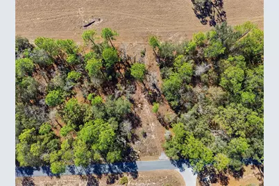 24456 SW Tiger Lake Boulevard W, Dunnellon, FL 34431 - Photo 1