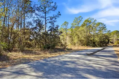 24456 SW Tiger Lake Boulevard W, Dunnellon, FL 34431 - Photo 12