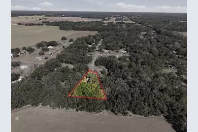 16564 NE 25th Lane, Williston, FL 32696 - Photo 36