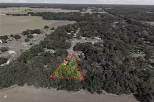 16564 NE 25 Ln, Williston, FL 32696 - Photo 36