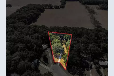 16564 NE 25th Lane, Williston, FL 32696 - Photo 40