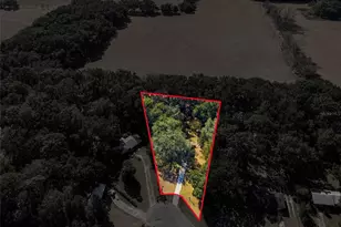 16564 NE 25 Ln, Williston, FL 32696 - Photo 40