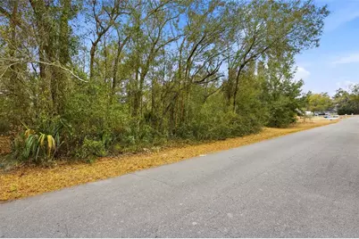 Lot 4 SW 95th Place, Ocala, FL 34476 - Photo 2