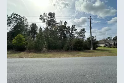 0 SW 110th Street, Ocala, FL 34476 - Photo 4