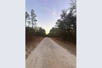 0000 SW 130th Terrace, Dunnellon, FL 34434 - Photo 10