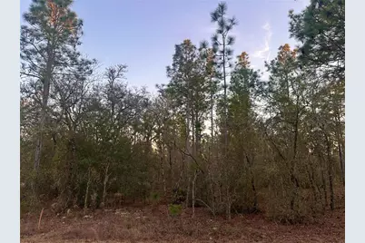 0000 SW 130th Terrace, Dunnellon, FL 34434 - Photo 6