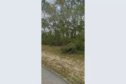 Tbd SW 44th Circle, Ocala, FL 34473 - Photo 1