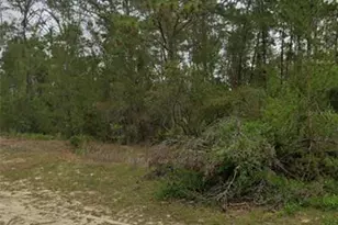 Tbd SW 44th Circle, Ocala, FL 34473 - Photo 1