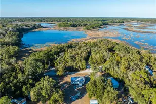 12029 SE 112th Avenue Rd, Belleview, FL 34420 - Photo 8