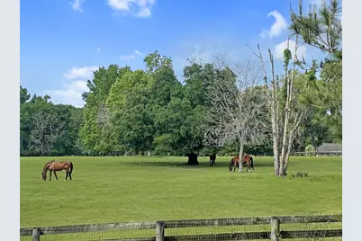 5378 W Highway 329, Reddick, FL 32686 - Photo 2