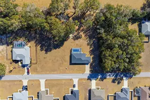 1740 NE 160th Pl, Citra, FL 32113 - Photo 42