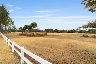 8835 SW 83rd Court Rd, Ocala, FL 34481 - Photo 34