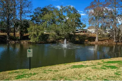 3047 NE 102nd Avenue Road, Silver Springs, FL 34488 - Photo 58
