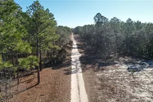 12382 SW 69th Pl, Ocala, FL 34481 - Photo 30